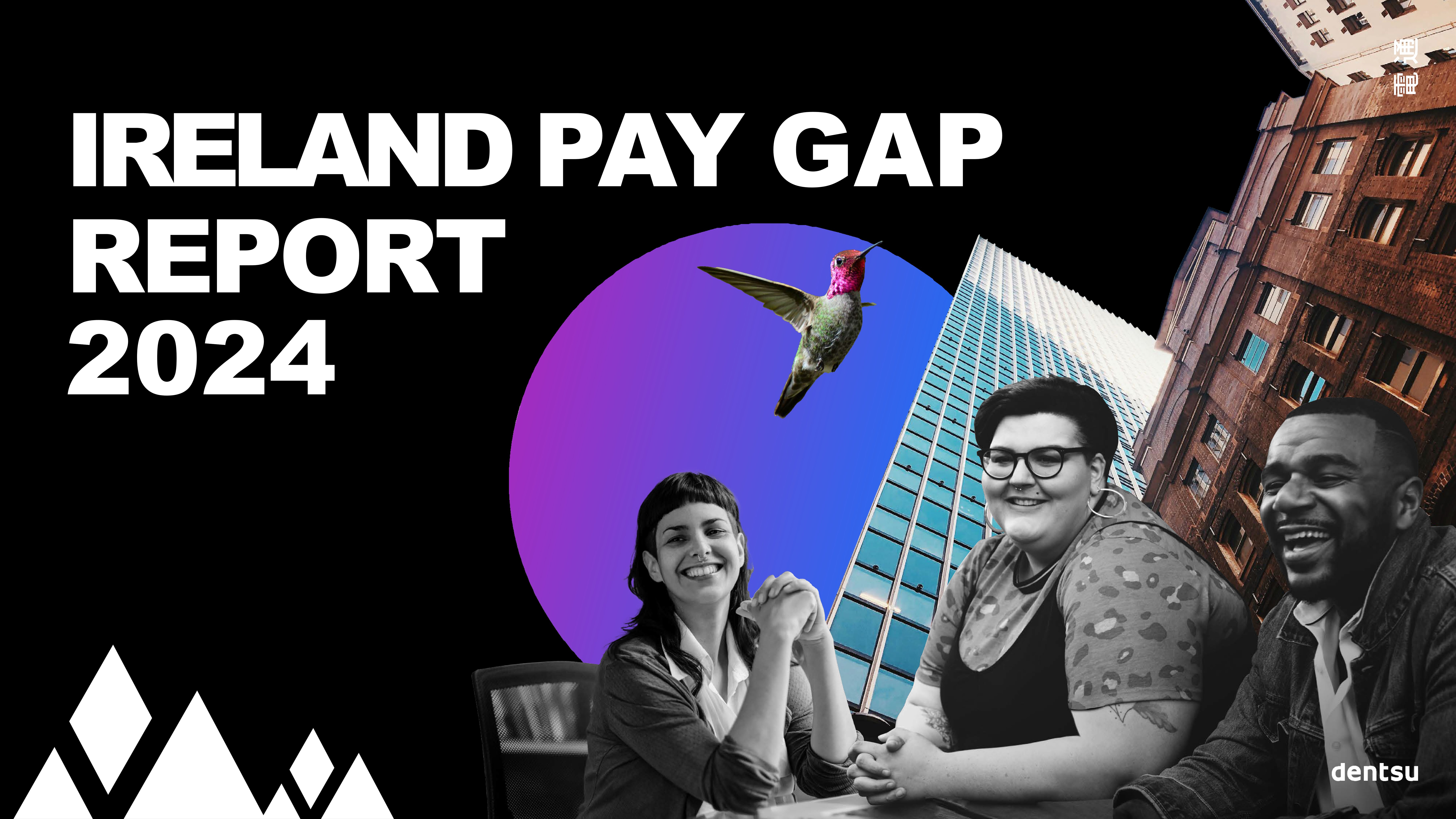 Ireland Pay Gap Report 2024 cover image