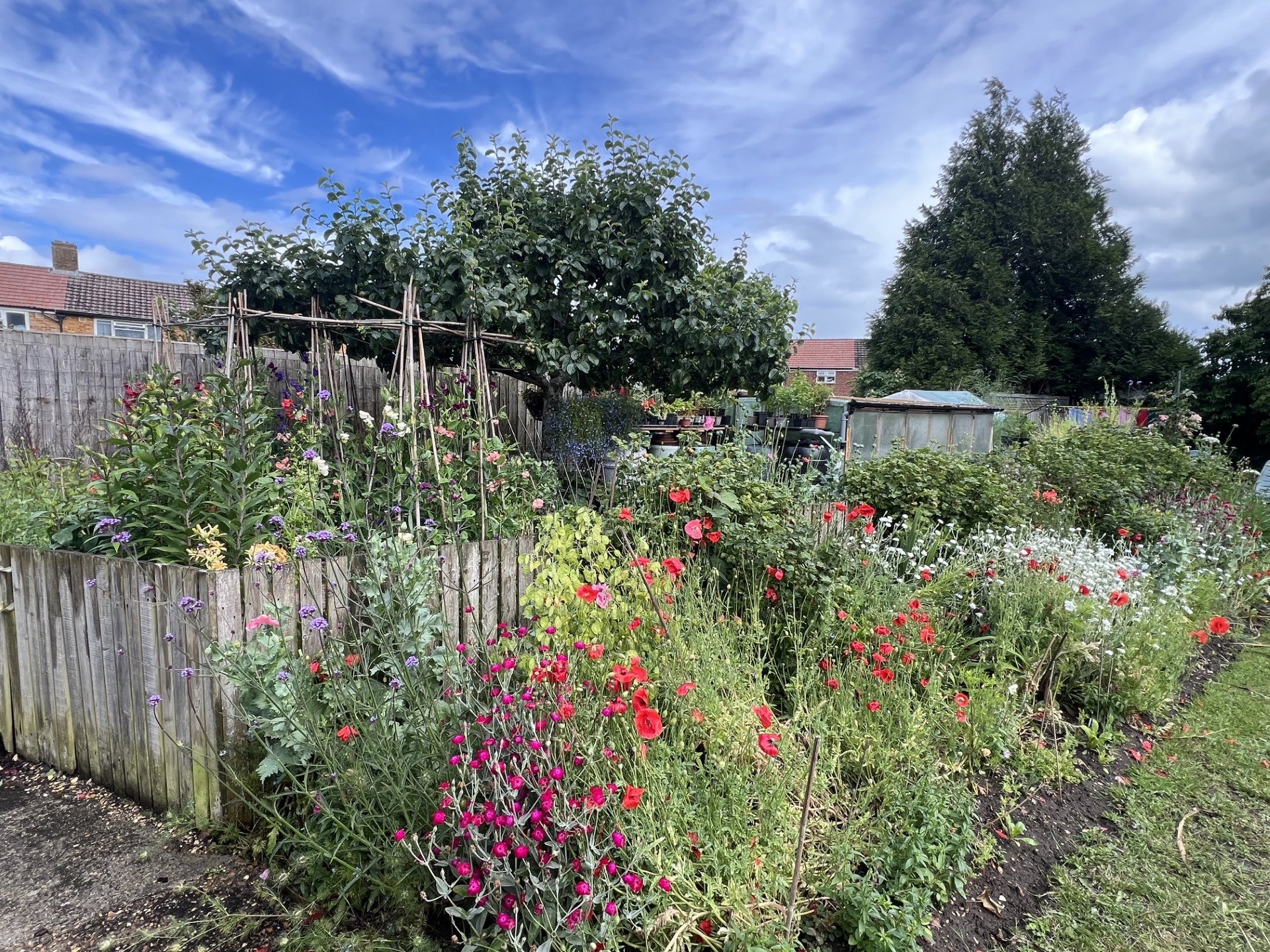 Photo of Sustainable Garden Innovator award winning garden