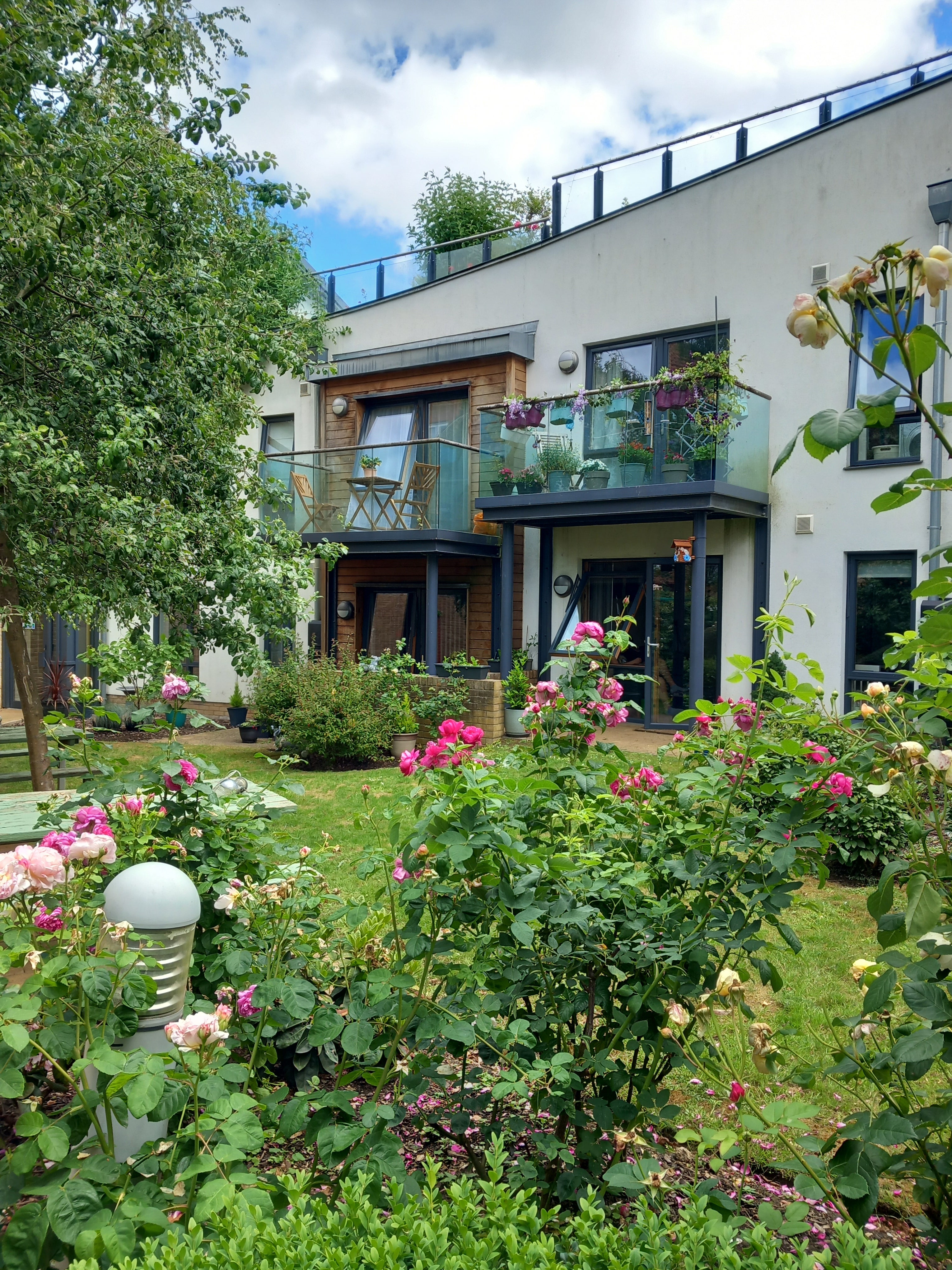 Photo of Thriving Community Garden award winning garden