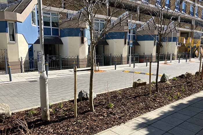 New planting on the streets of Stockwell Park