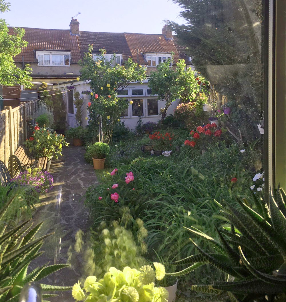 Rose Saunders - 3rd place - Home garden In Bloom - 1