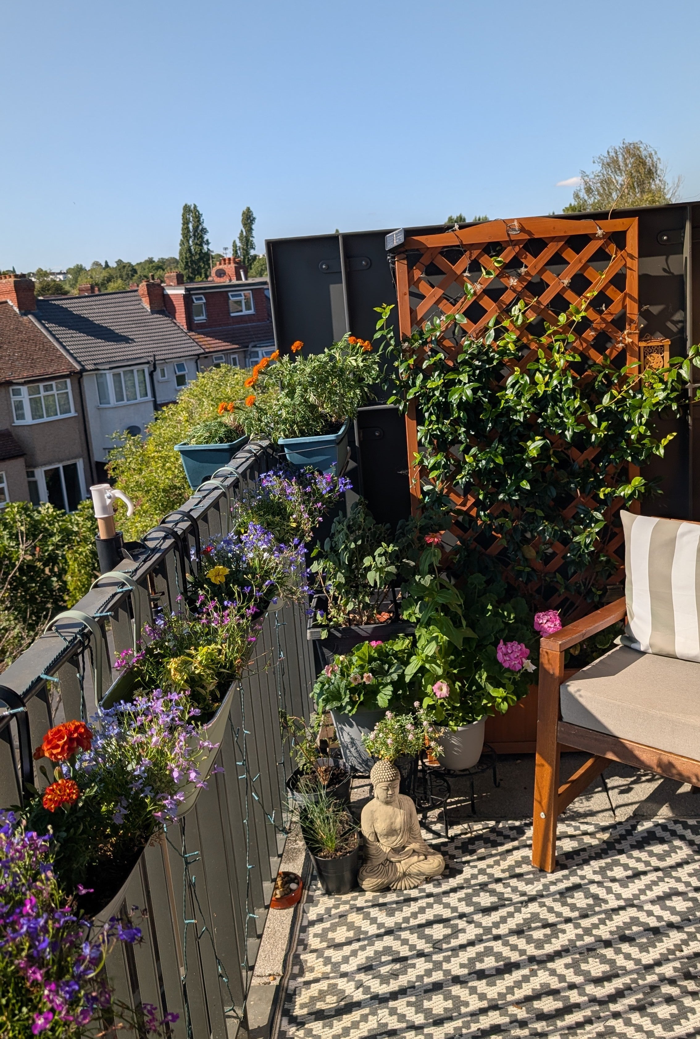 Photo of Small Garden Innovator award winning garden