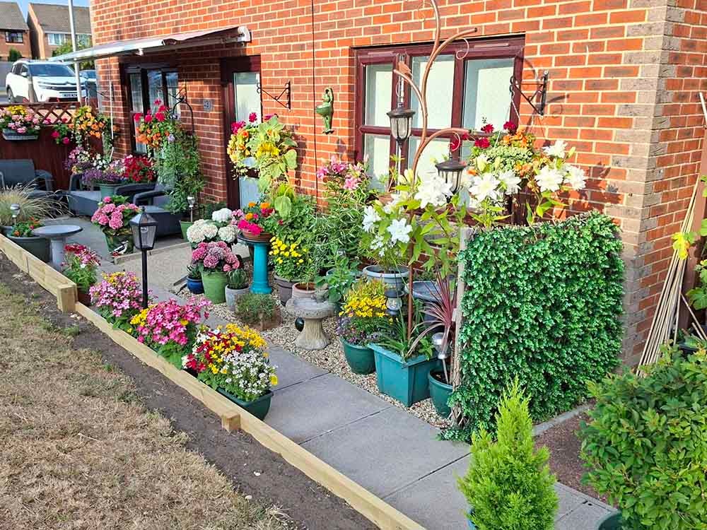 A garden in full bloom