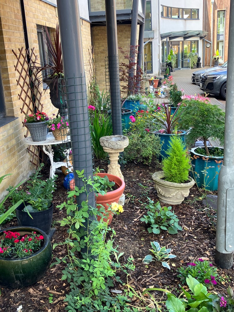 Bircherley Court and Priory Court - Thriving Community Garden award_1