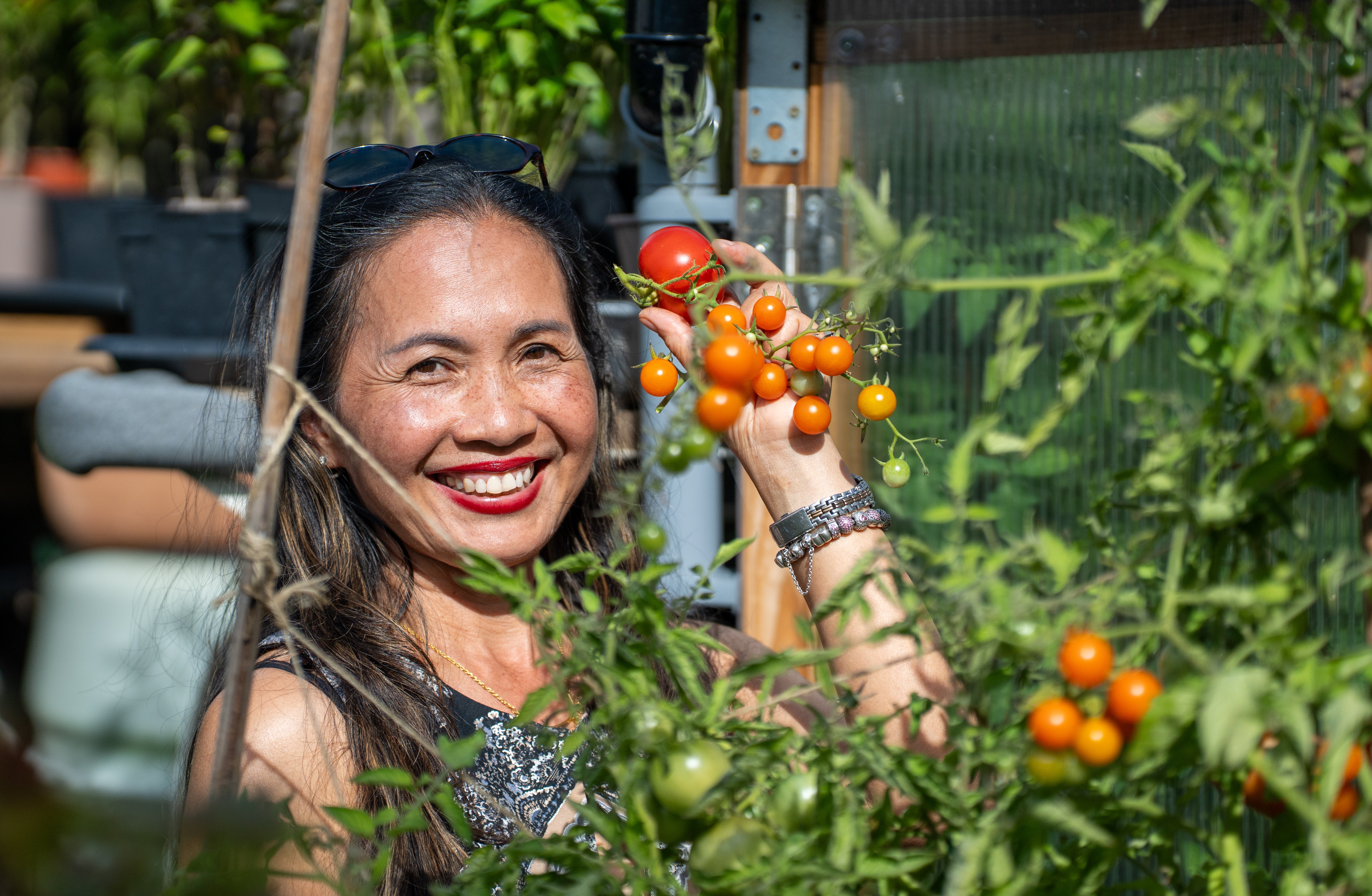 Sustainable garden winner with tomatoes in her garden