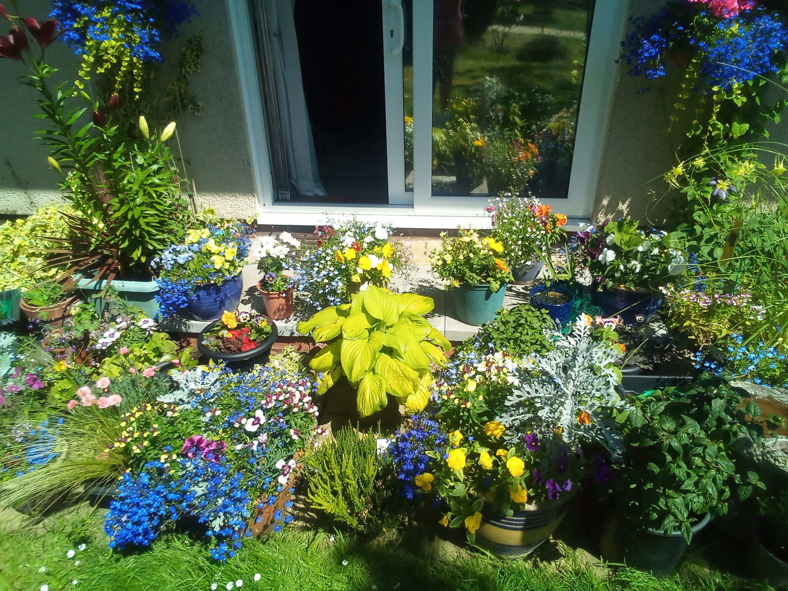 Photo of the third place winners garden