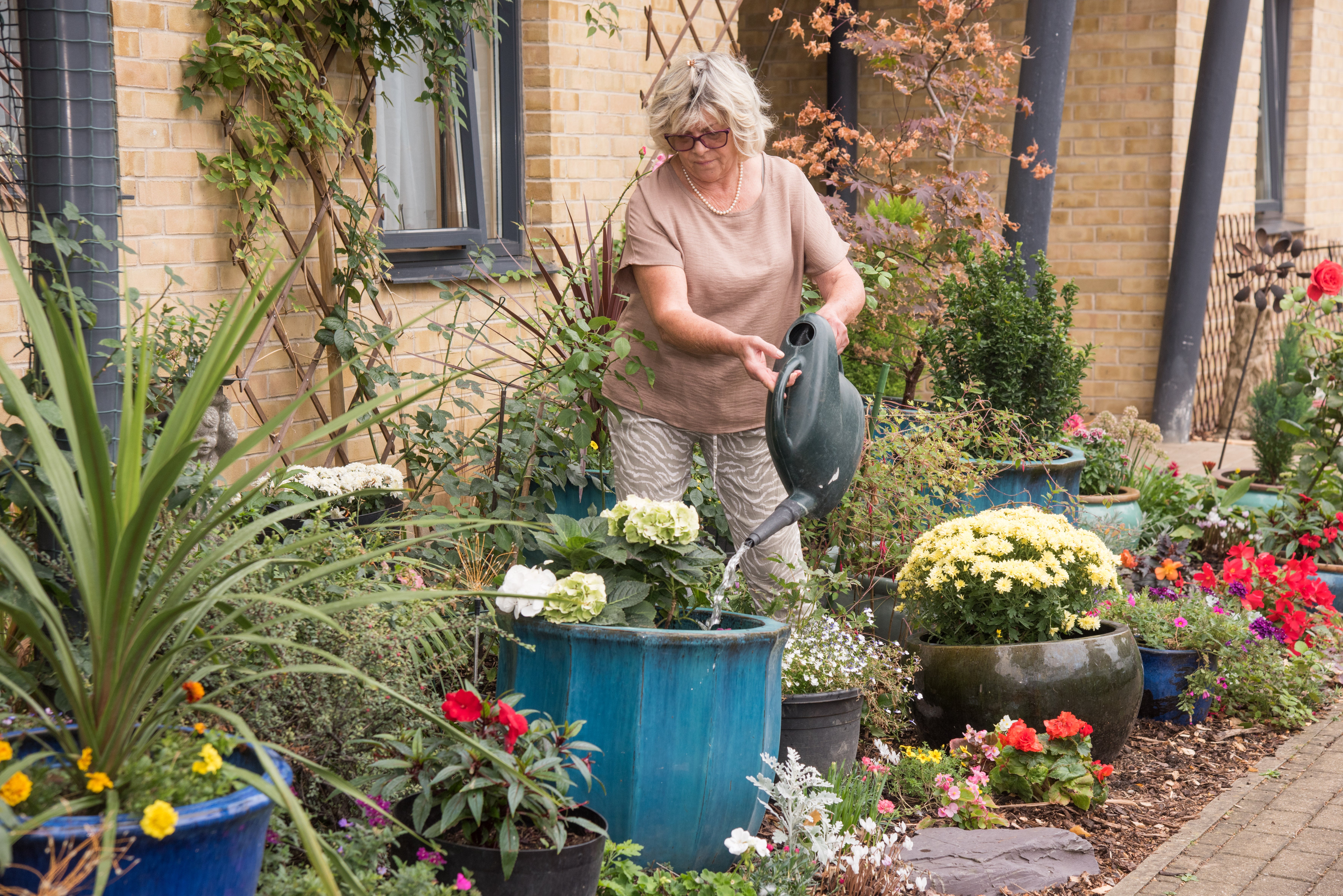 Community garden winner watering the gardener