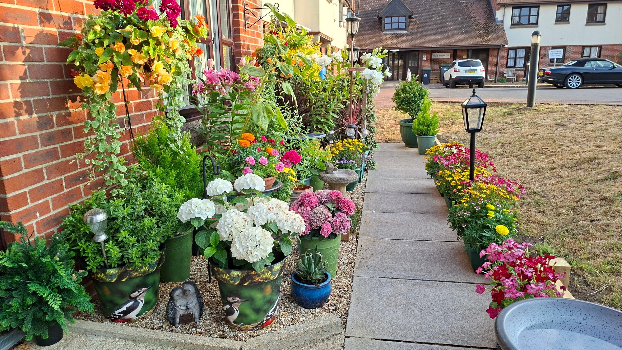 Photo of a runner up's colourful garden