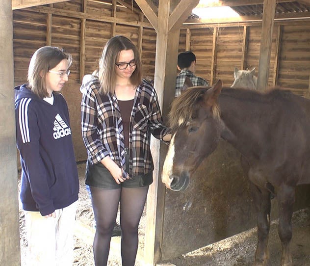 Young people petting a horse 