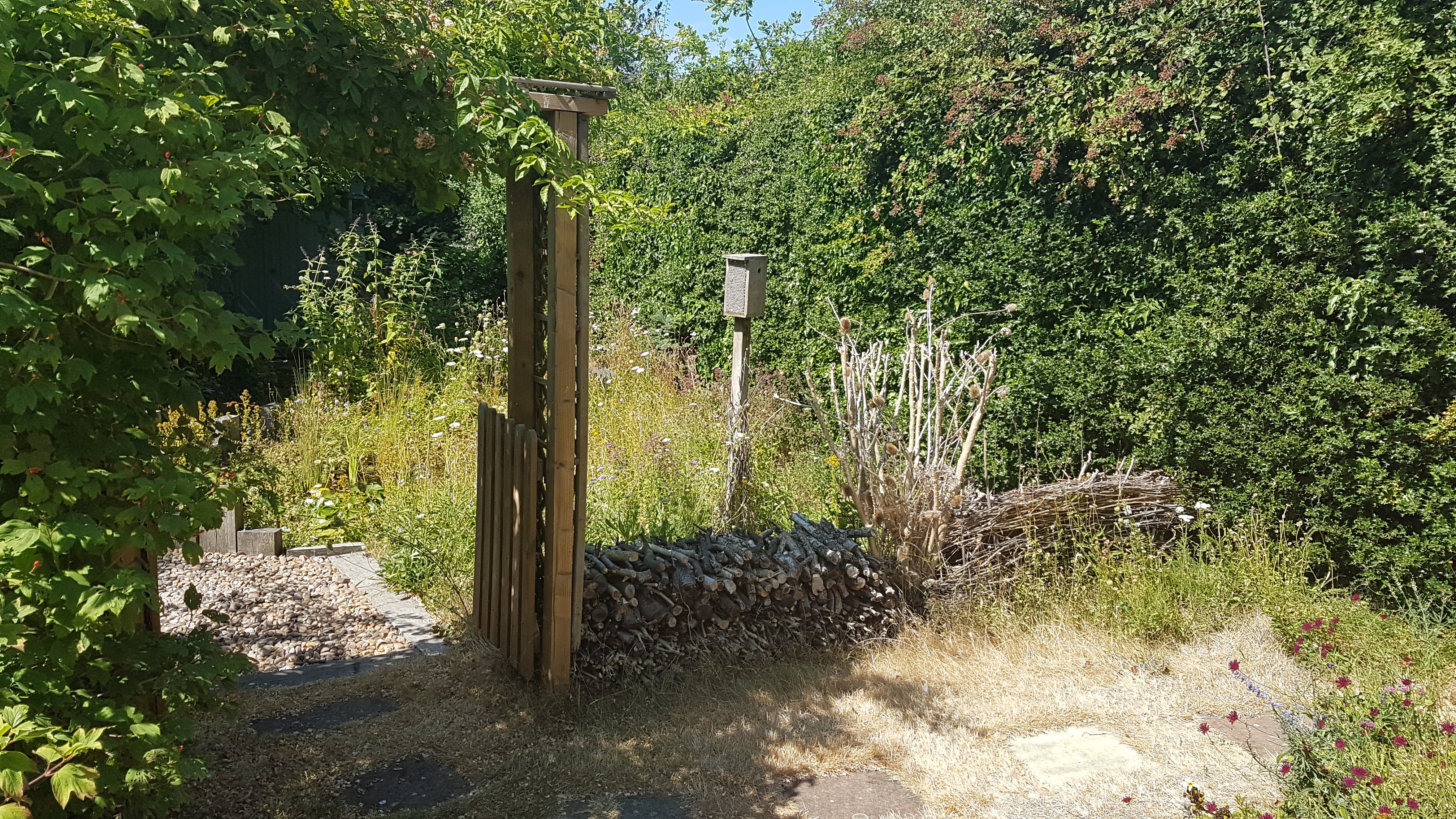 Photo of the second place winner's garden