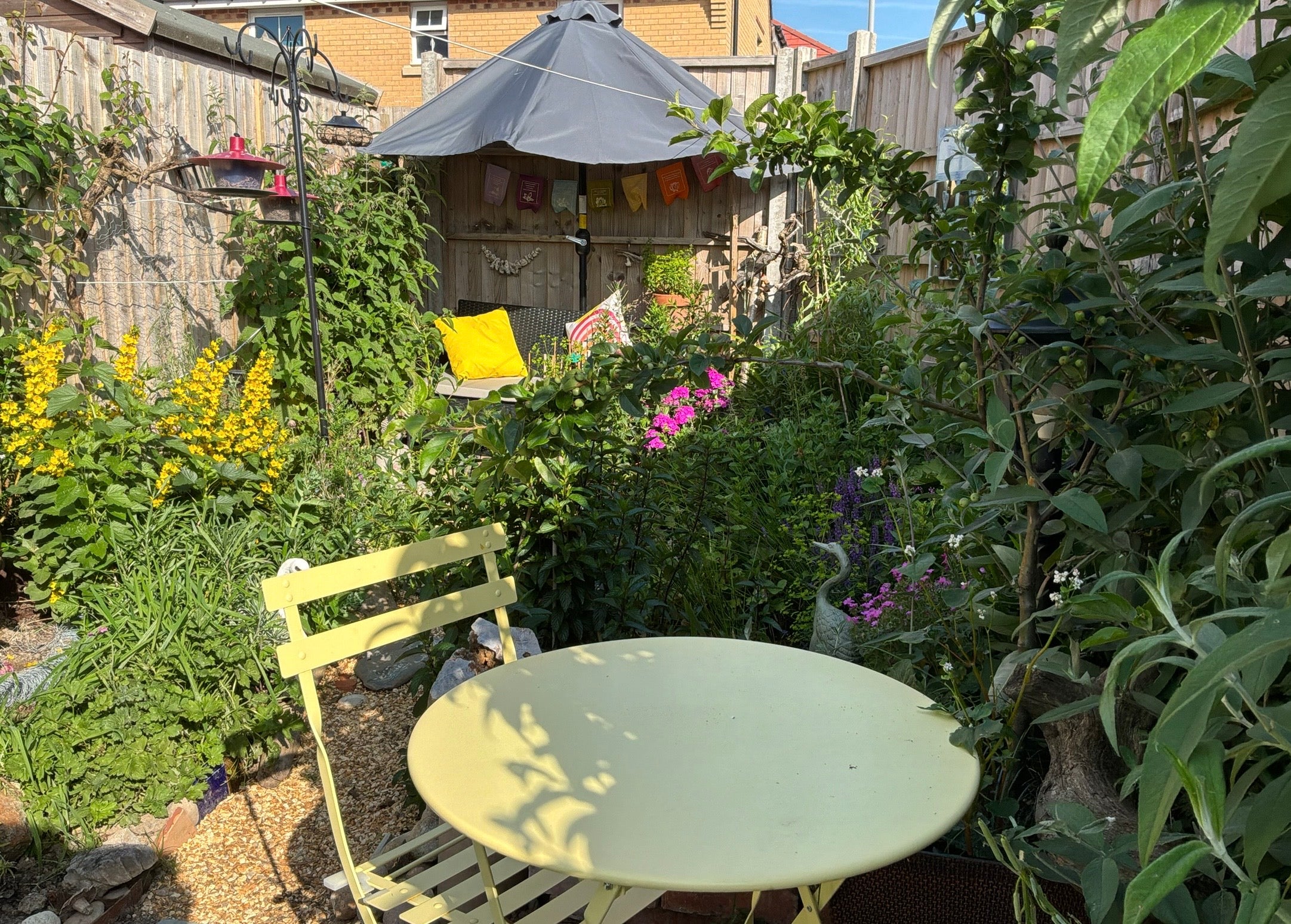 Photo of the third place winner's garden