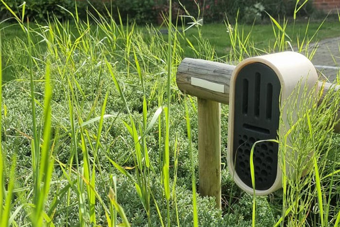 Close up view of an insect box amongst long grass