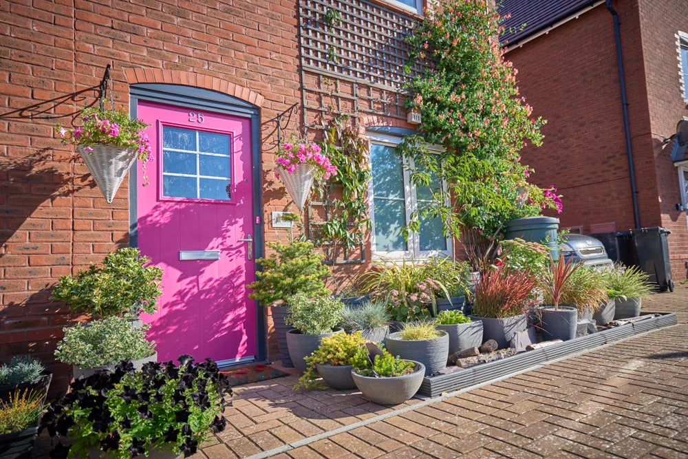 Luke Carpenter - Small Garden Innovator award_2