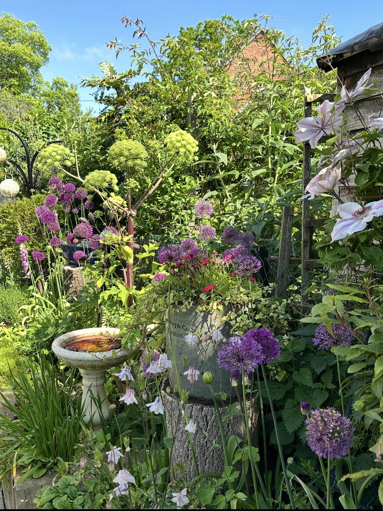 Photo of Home Garden In Bloom award winning garden