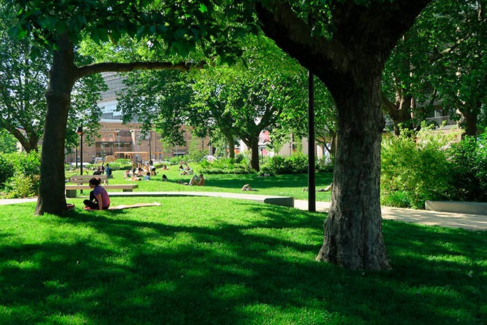 Trees and grassy areas on a housing development