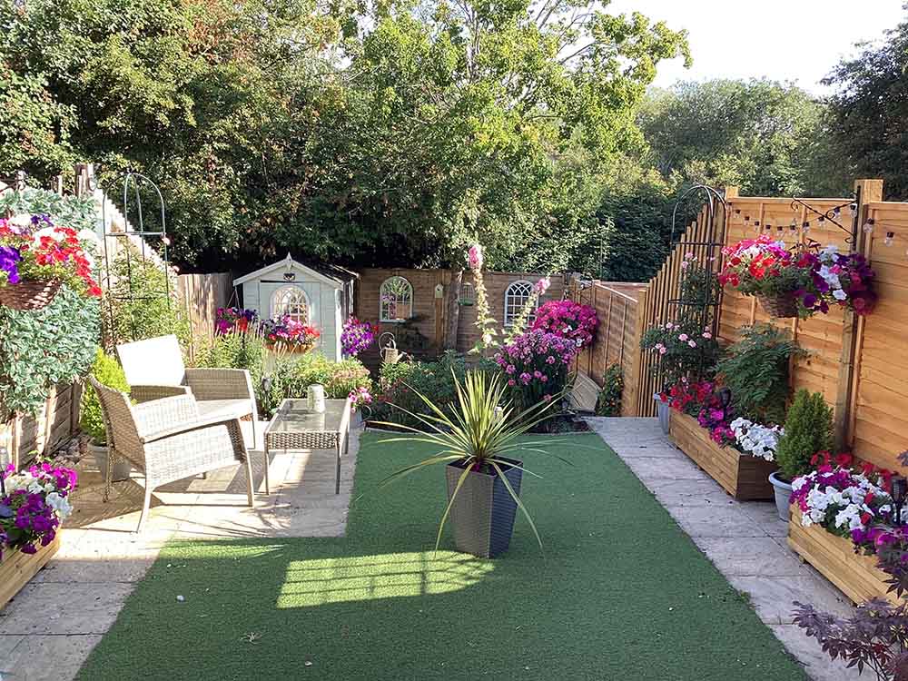 A garden in full bloom