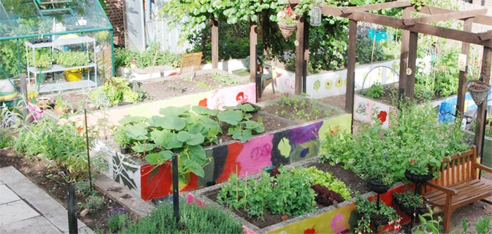 A small garden with raised beds painted in bright colours, filled with leafy green plants and herbs. The beds are arranged inside a wooden frame structure with trellises, potted plants, and garden tools visible around the edges in a sunny outdoor setting.