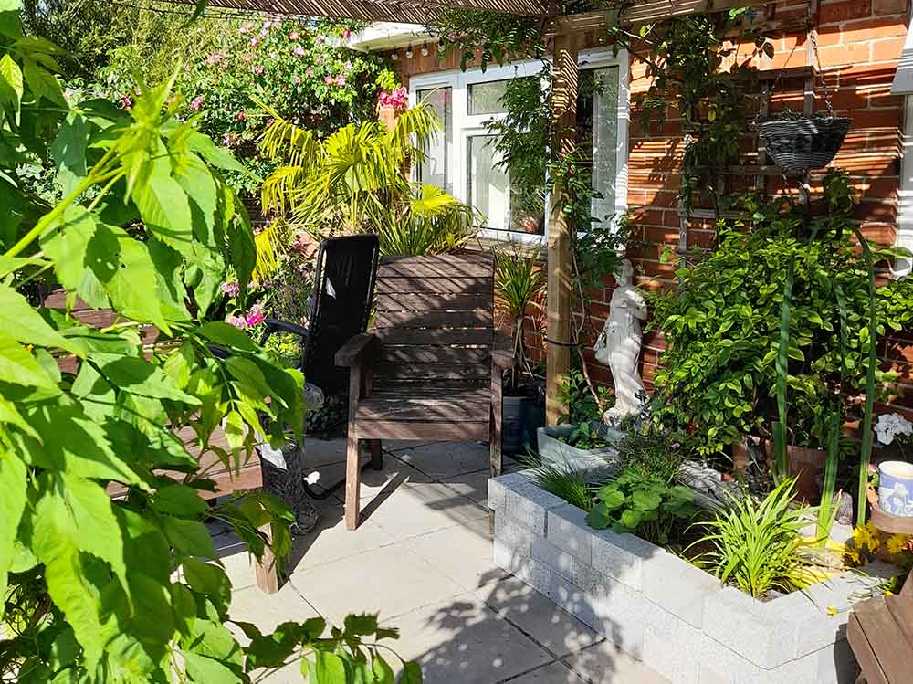 A garden in full bloom