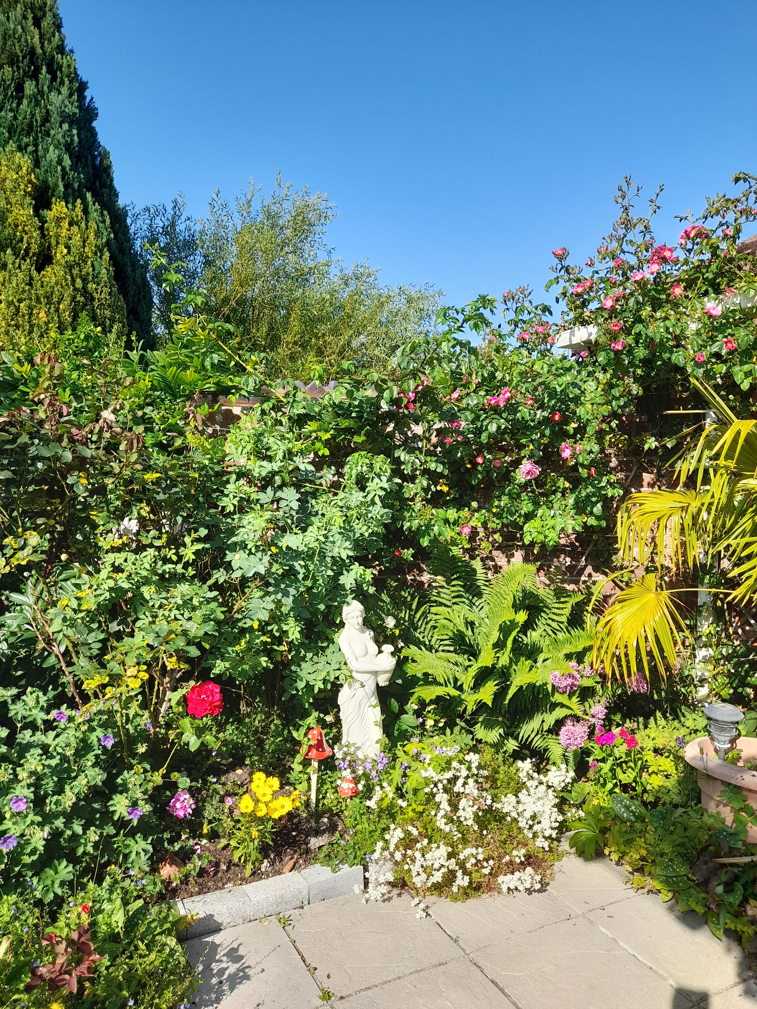 Photo of the second place winner's garden