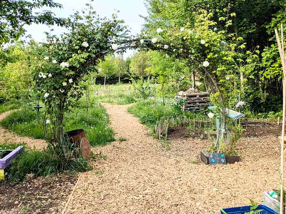 A garden in full bloom