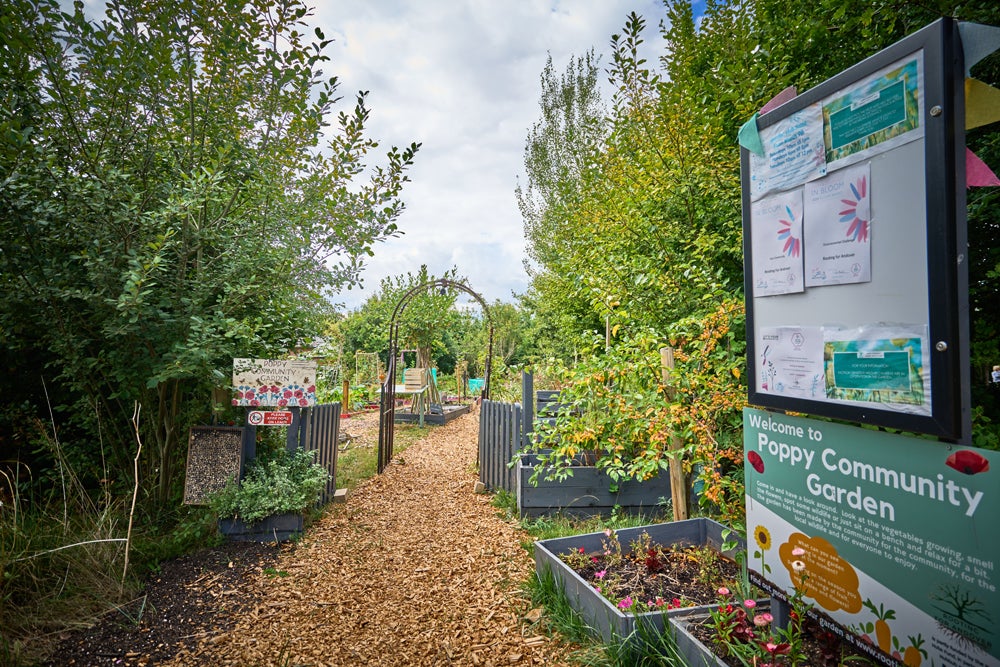 Poppy Community Garden - Thriving Community Garden award_1