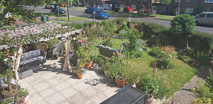 A beautiful green garden