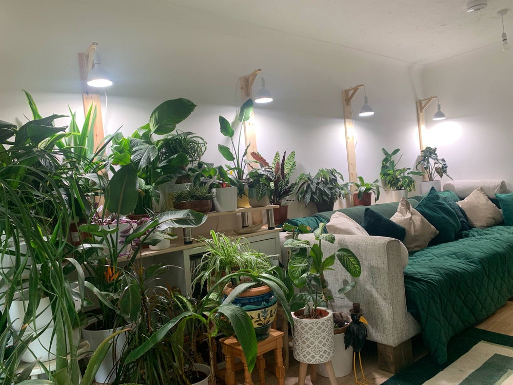 Danny Sullivan - Small Garden Innovator award_1