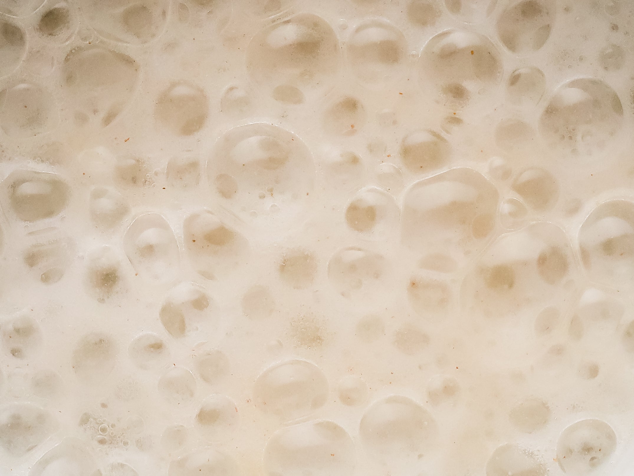 Bubbles 