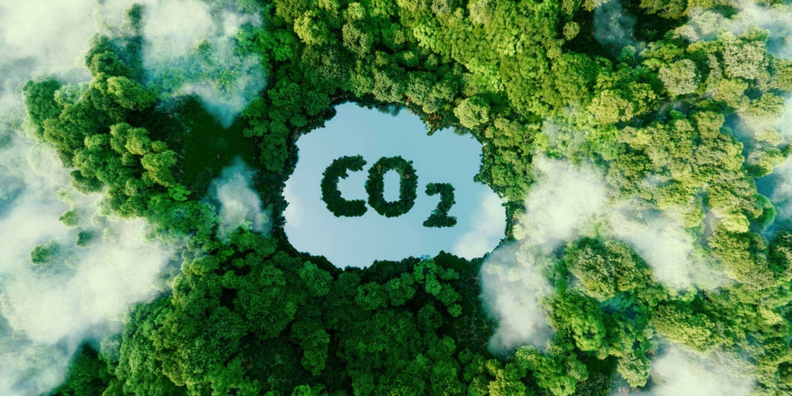 HC Insider Insights - Interview with Angelo Sartori, Director of Regional Outreach at standard organisation Verra