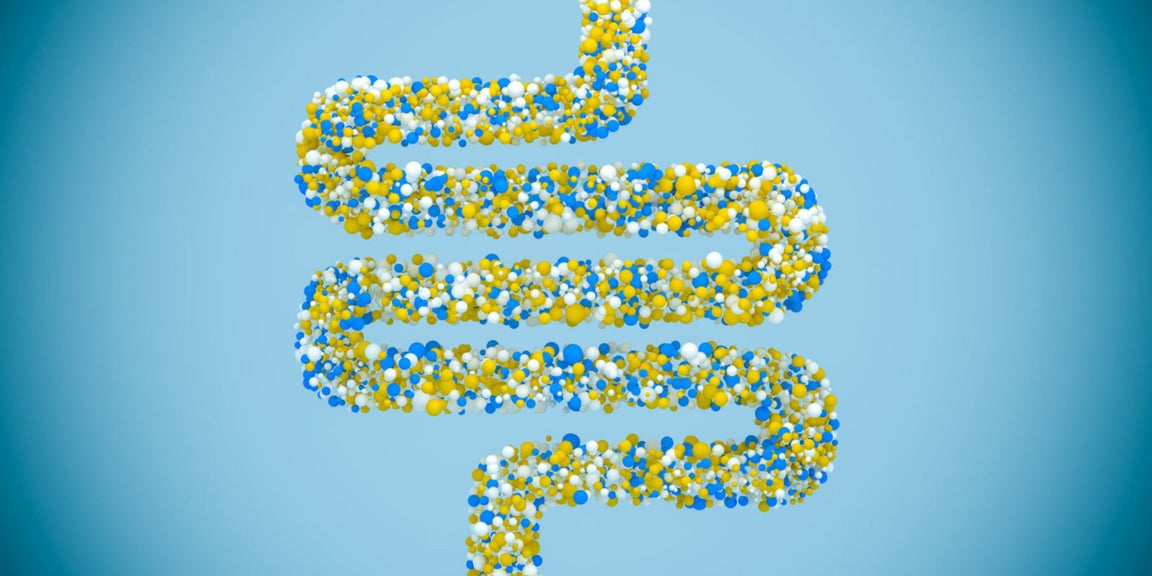 HC Group (insights): Global probiotics market trends and opportunities