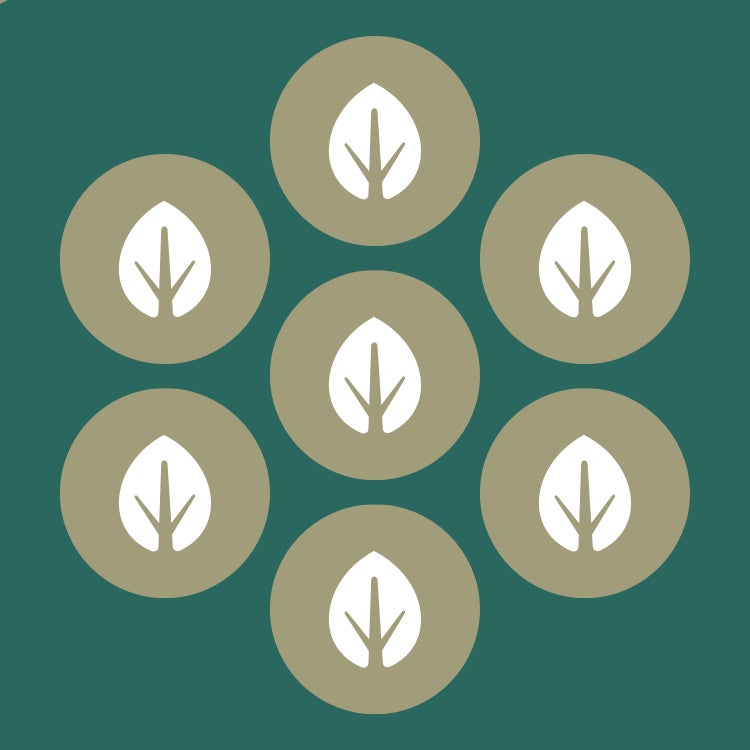 HC Group "Agriculture and Nutrition" main header