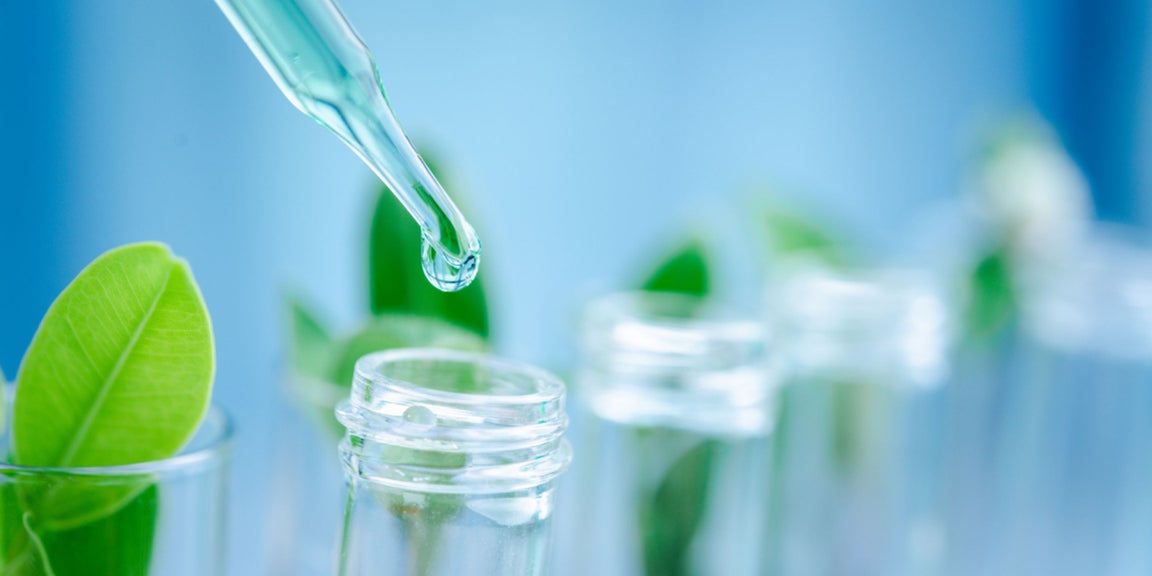 Insights - How Can the Bioindustry Scale Up While Attracting Talent?