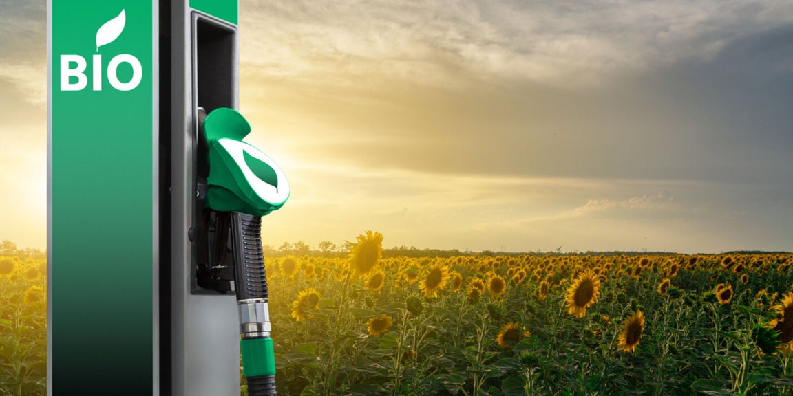 HC Insider Insights - Consolidation of plant-based projects continues apace