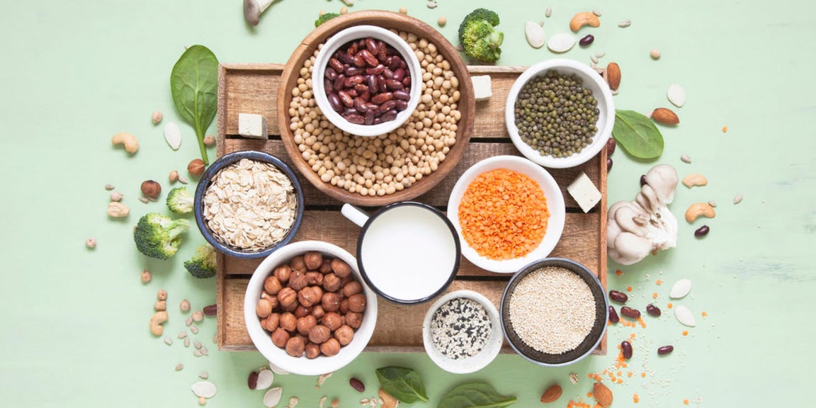 HC Inisder Insights - Talent Trends in Plant Protein 