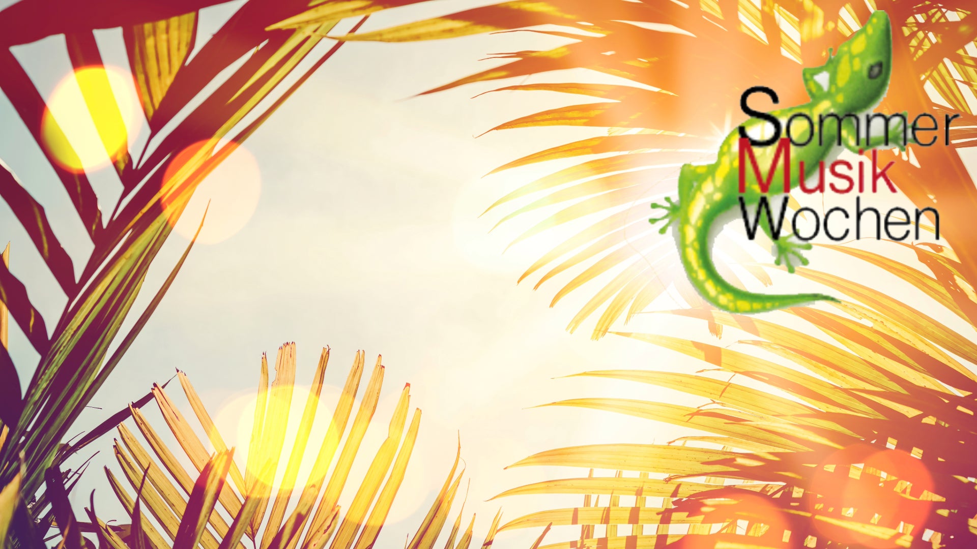 Sommermusikwochen & Orchesterprojekte