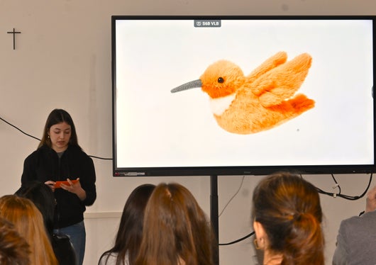 Ein Anwendungsbeipspiel des ausgewählten Logos: Kolibri als Plüschtier. 