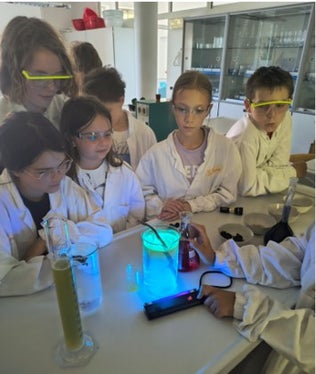 Im Chemie-Workshop wurde fleißig experimentiert. (Foto: Deutsche Bildungsdirektion/Alexander Ulbricht)