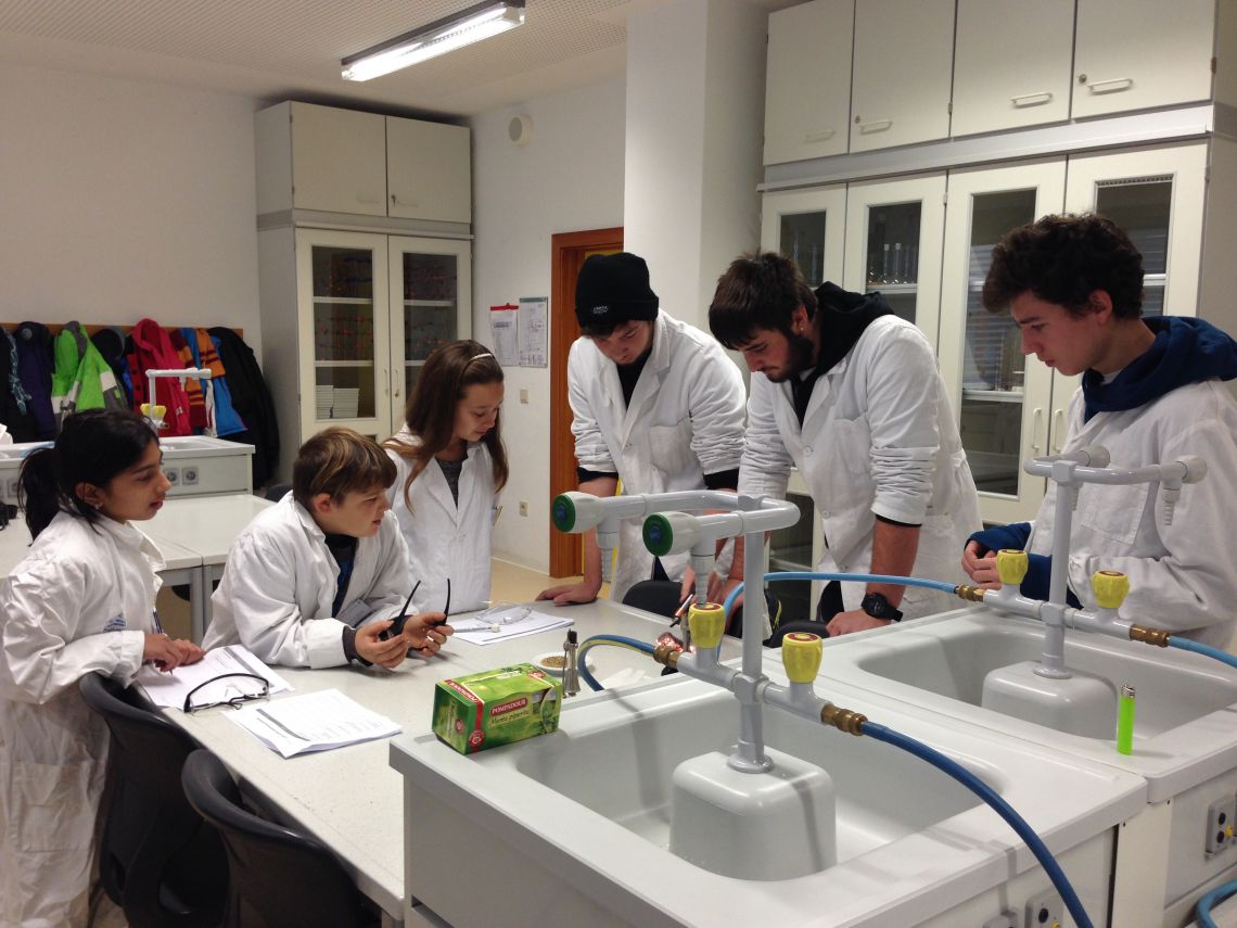 Schüler:innen im Labor (Lernen durch Lehren)