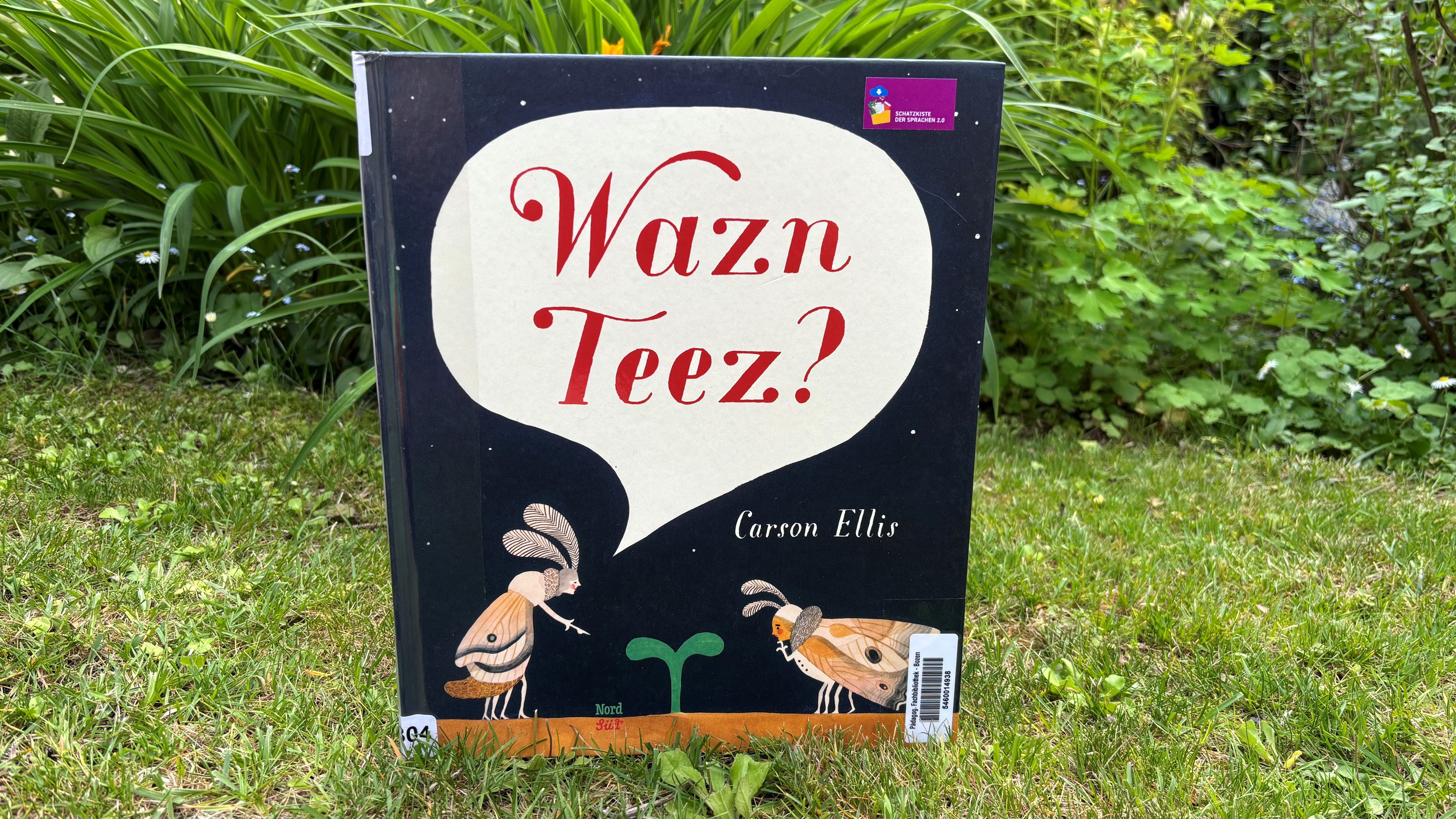 Wazn Teez?: Praktische Umsetzung