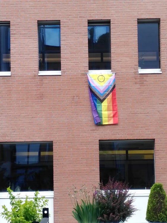Im Juni hängt die Regenbogenfahne an dem Gebäude der Deutschen Bildungsdirektion.