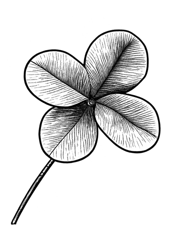 Material für Lehrpersonen