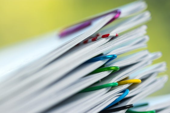  Foto: Die Online-Einschreibungen für das Bildungsjahr 2025/2026 starten im Jänner. Foto: Shutterstock