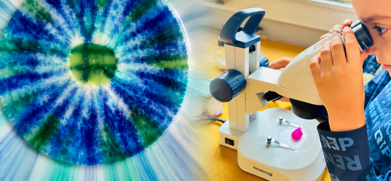 Forschertag 2026: Licht und Farben lassen sich auf vielfältige Weise erforschen (Foto: Grundschule Franzensfeste)