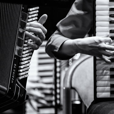 Detailansicht Akkordeon (Foto: Shutterstock)