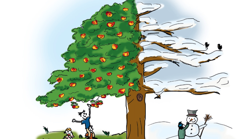 Heft 6 - Durchs Jahr, durchs Leben | Herbst und Winter