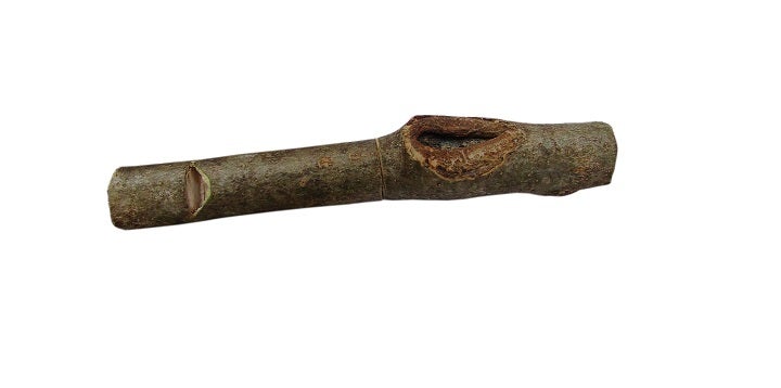 Maienpfeife mit abgeschrägtem Mundstück: MP19