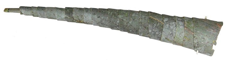 Horn aus Salweidenrinde mit Doppelrohrblatt MP30A