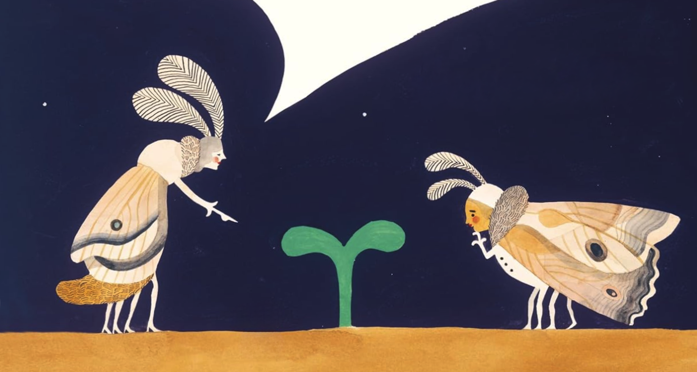 Wazn Teez?│Carson Ellis