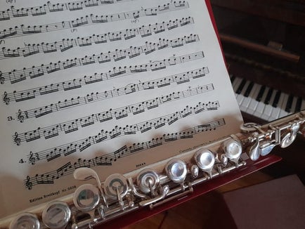 Im Oktober beginnen Ausbildungslehrgänge zum Erwerb der Lehrbefähigung für die Wettbewerbsklassen A-55 Musikinstrument – Oberschule und A-56 Musikinstrument – Mittelschule. (Foto: LPA/Maja Clara)