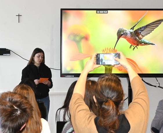 Der Kolibri steht für Lebensfreude, für Leichtigkeit und positive Energie – Qualitäten, die im Alltag der Krankenhausschule eine besonders wichtige Rolle einnehmen, so die Krankenhauslehrpersonen.